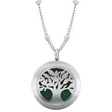 Load image into Gallery viewer, Silver Aromatherapy Pendant for Essential Oils