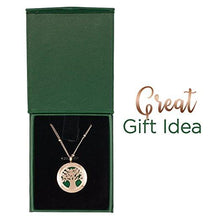 Load image into Gallery viewer, Rose Gold Aromatherapy Pendant for Essential Oils