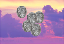 Load image into Gallery viewer, Value 5 Pack - Pocket Guardian Angel Coins with Serenity Prayer Cards - Token Charm for Wallet or Car - Blessing Gift for Yourselves and Your Loved Ones